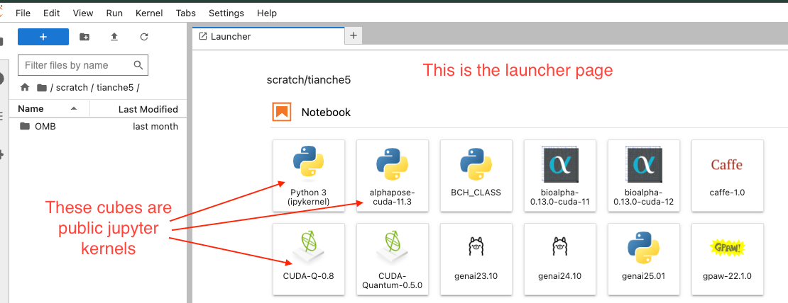 Jupyter Launcher Page