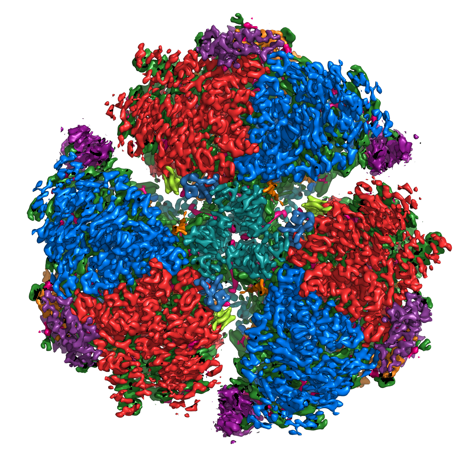 Visualization of a protein found in chlorophyll. This visualization was produced by Yuval Mazor, School of Molecular Sciences, on the Agave supercomputer.